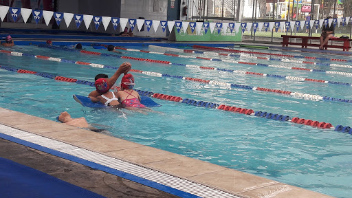 Academia Natación Es Vida