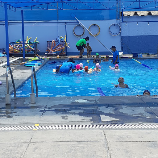 Piscina Colegio Maristas