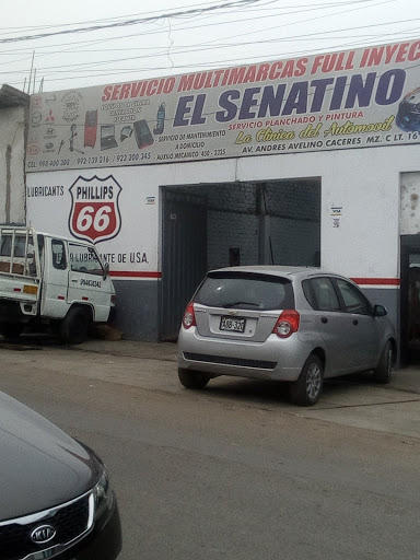 El Senatino